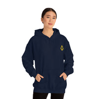 Pirate Hoodie - RobbNPlunder