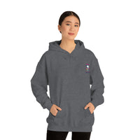 Ice Cream Pirate Hoodie - RobbNPlunder