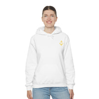 Pirate Hoodie - RobbNPlunder