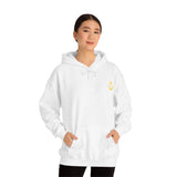 Pirate Hoodie - RobbNPlunder