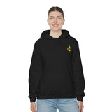 Pirate Hoodie - RobbNPlunder