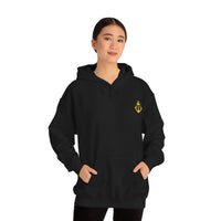 Pirate Hoodie - RobbNPlunder