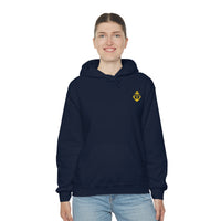 Pirate Hoodie - RobbNPlunder