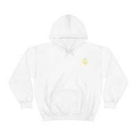 Pirate Hoodie - RobbNPlunder