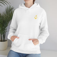 Pirate Hoodie - RobbNPlunder