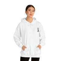 Ice Cream Pirate Hoodie - RobbNPlunder