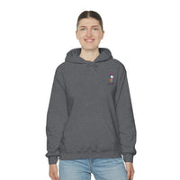 Ice Cream Pirate Hoodie - RobbNPlunder