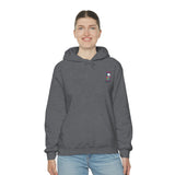 Ice Cream Pirate Hoodie - RobbNPlunder