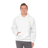 Pirate Hoodie - RobbNPlunder